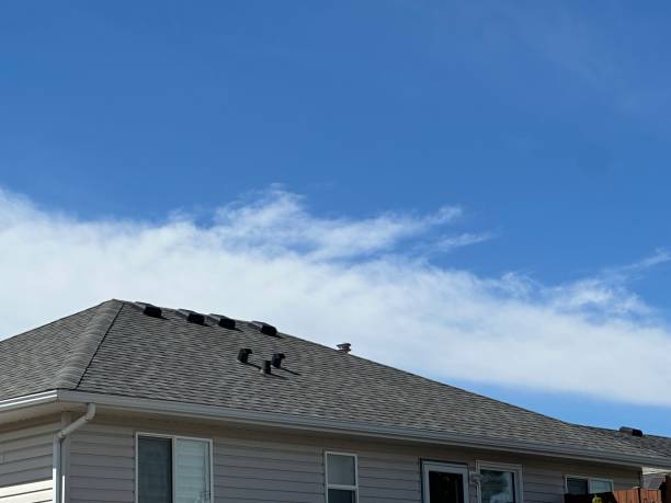 Asphalt Shingles Roofing in Blaine, MN